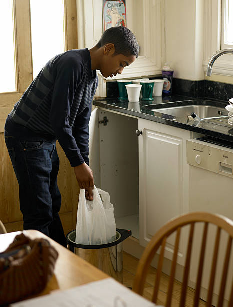 Attic Cleanout Services in Dellwood, MN